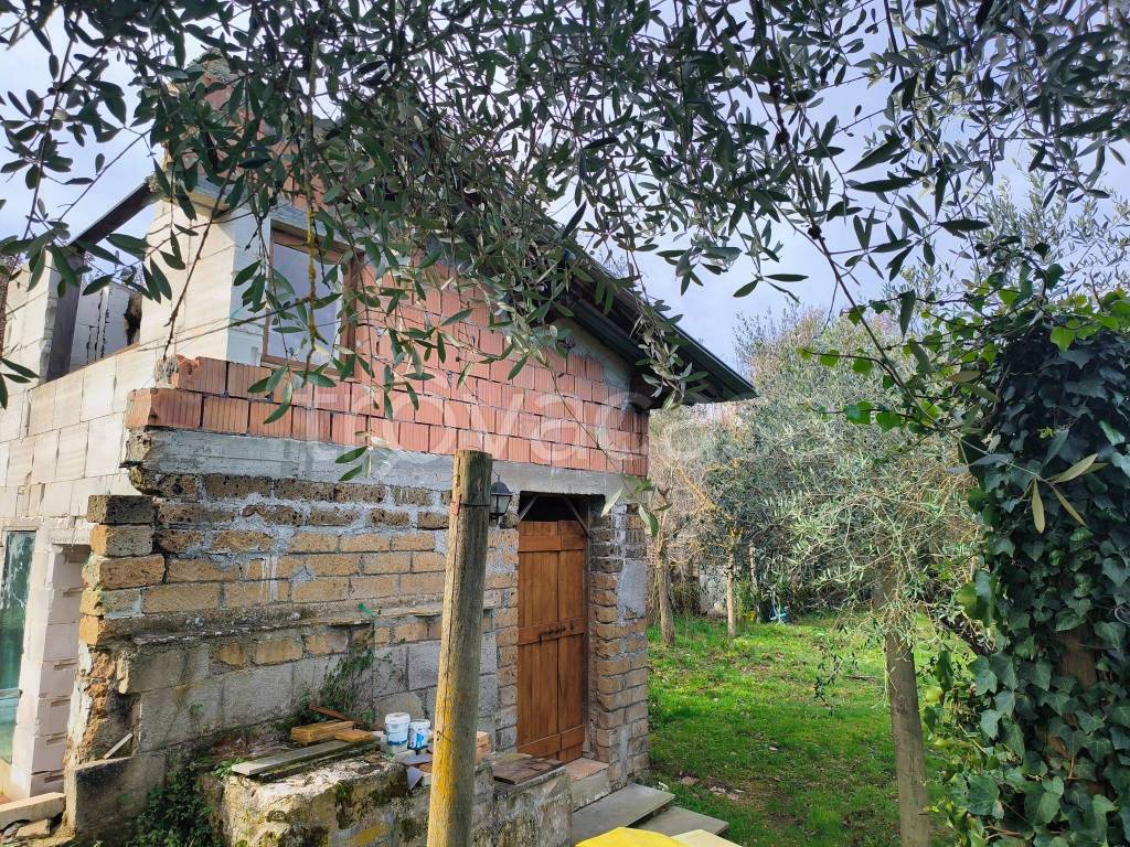 immagine annuncio 4 di 11
