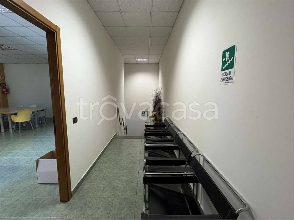 immagine annuncio 6 di 14