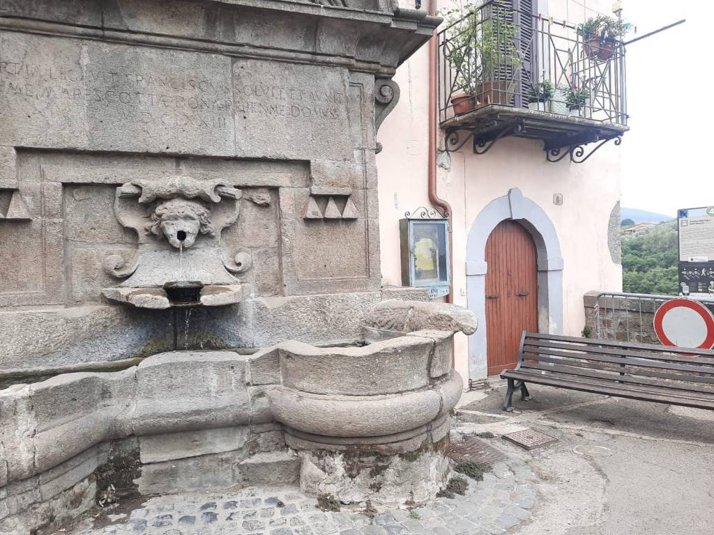 immagine annuncio 3 di 12