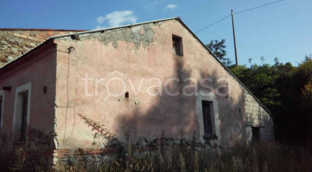 immagine annuncio 2 di 11