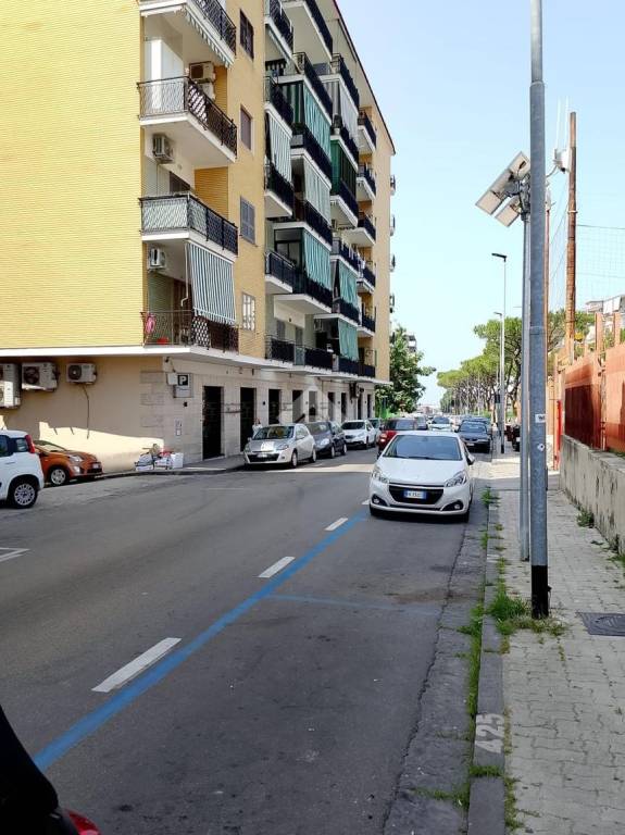 immagine annuncio 6 di 13