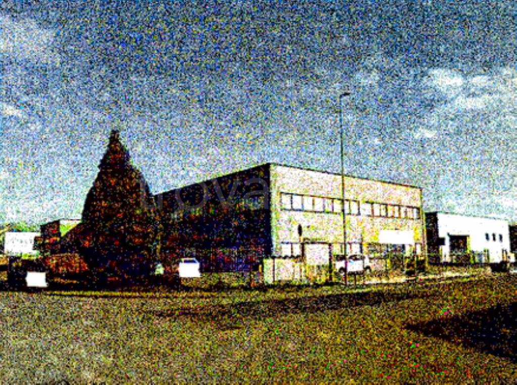 immagine annuncio 1 di 11