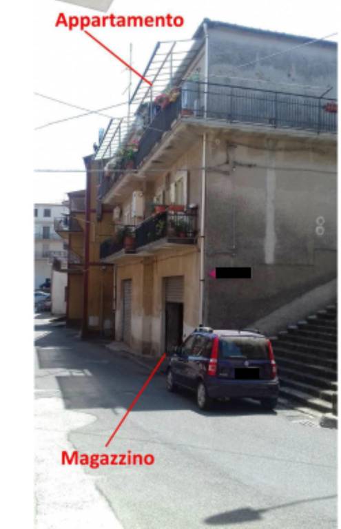immagine annuncio 5 di 12