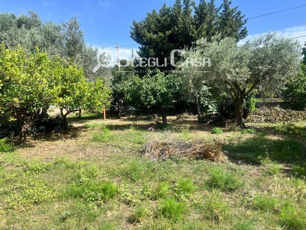 immagine annuncio 9 di 12