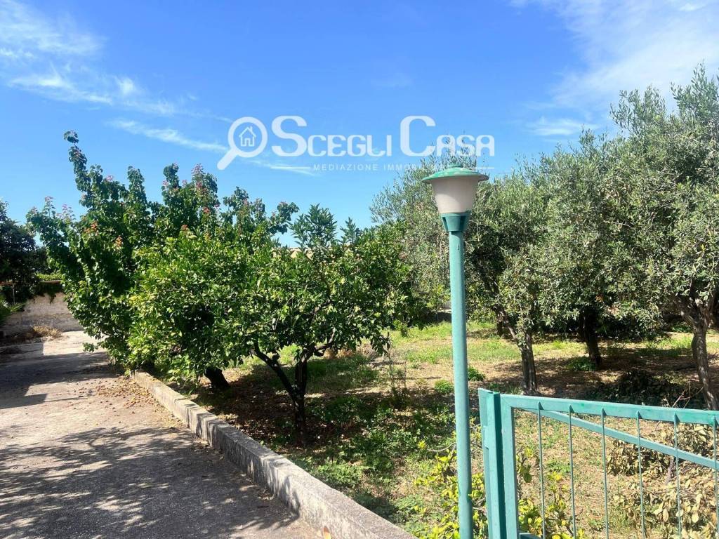 immagine annuncio 11 di 12