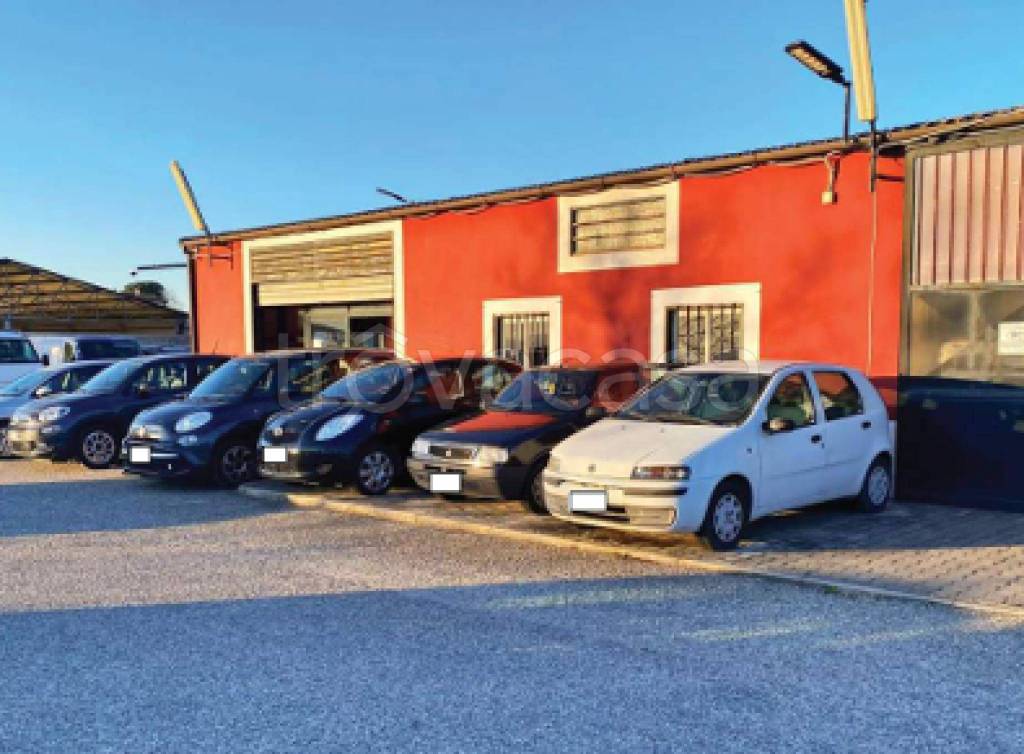 immagine annuncio 10 di 11