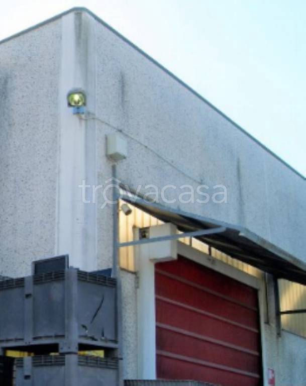 immagine annuncio 6 di 9