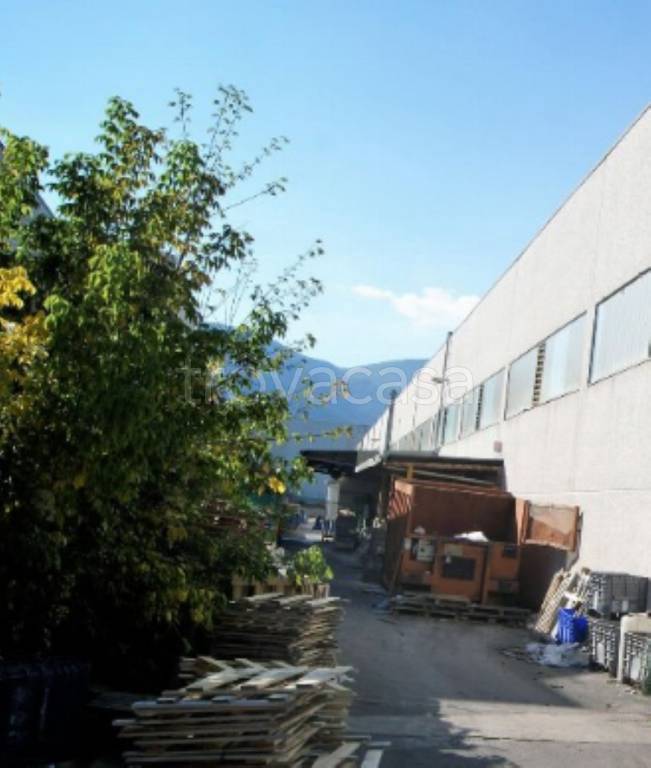 immagine annuncio 4 di 10