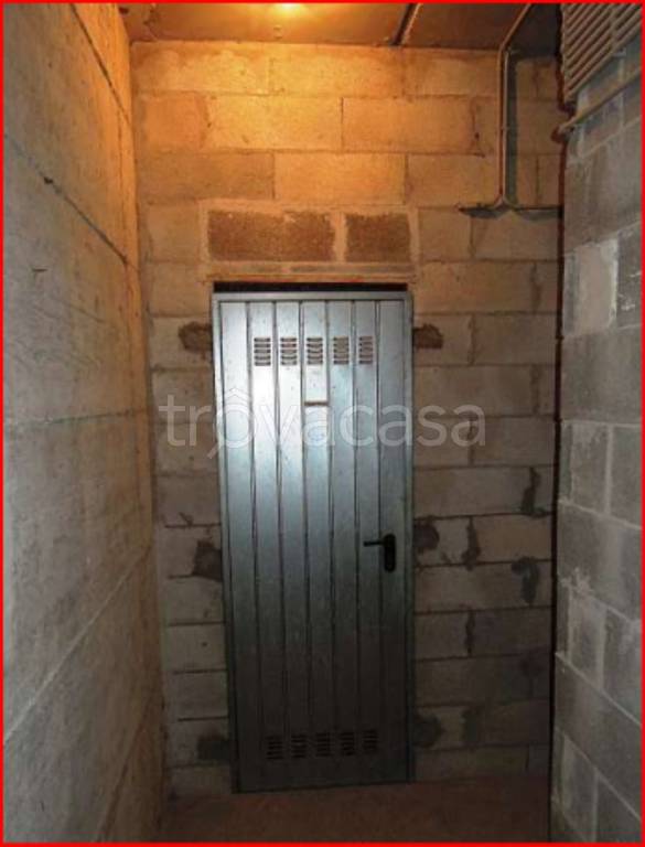 immagine annuncio 11 di 14