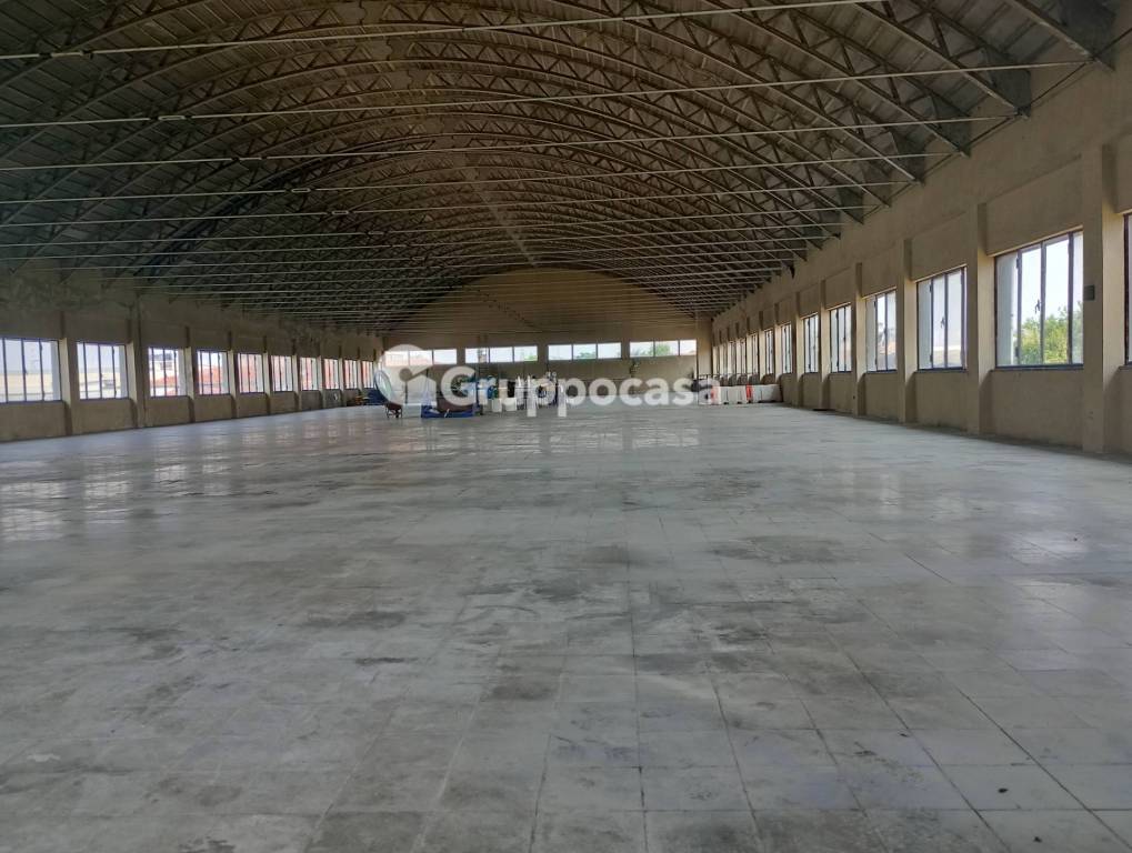 immagine annuncio 2 di 14