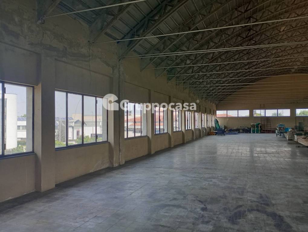 immagine annuncio 3 di 14