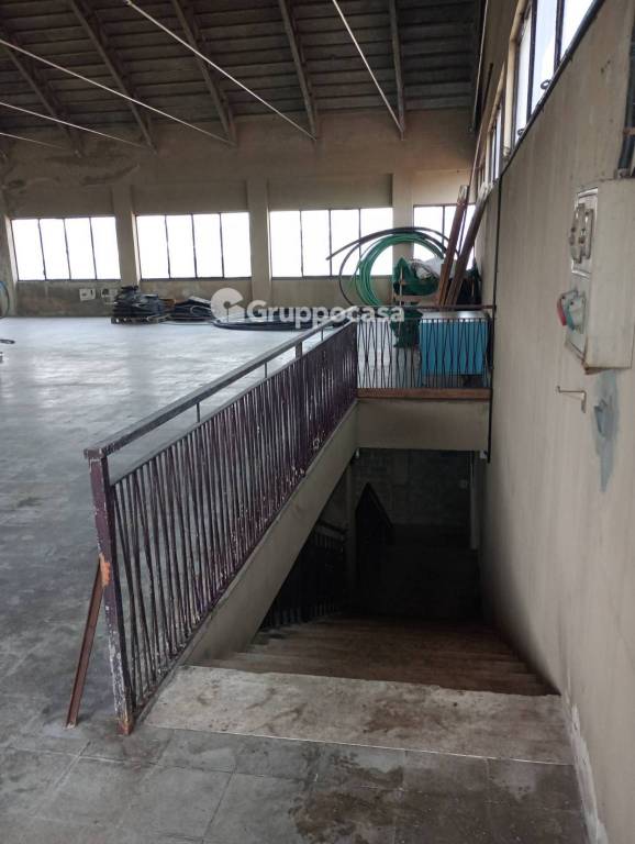 immagine annuncio 12 di 14