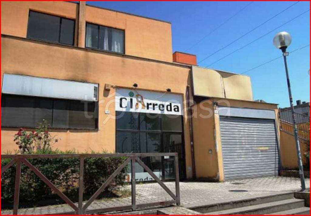 immagine annuncio 3 di 12
