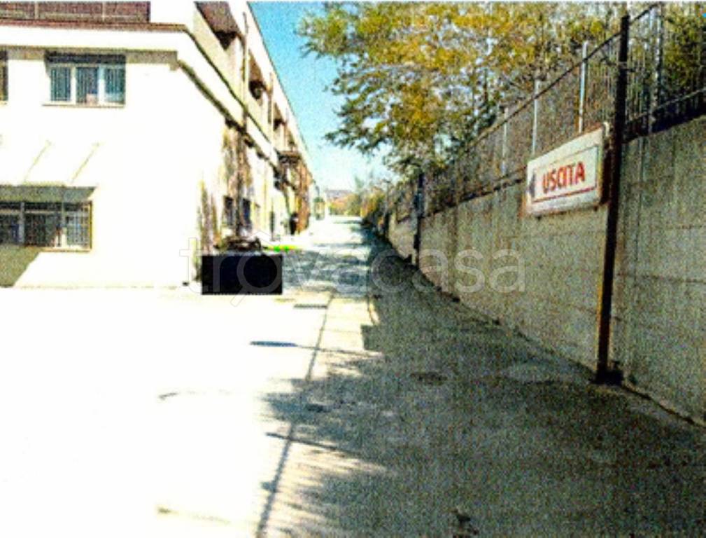 immagine annuncio 4 di 11