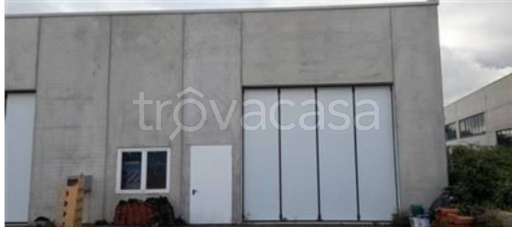 immagine annuncio 3 di 13