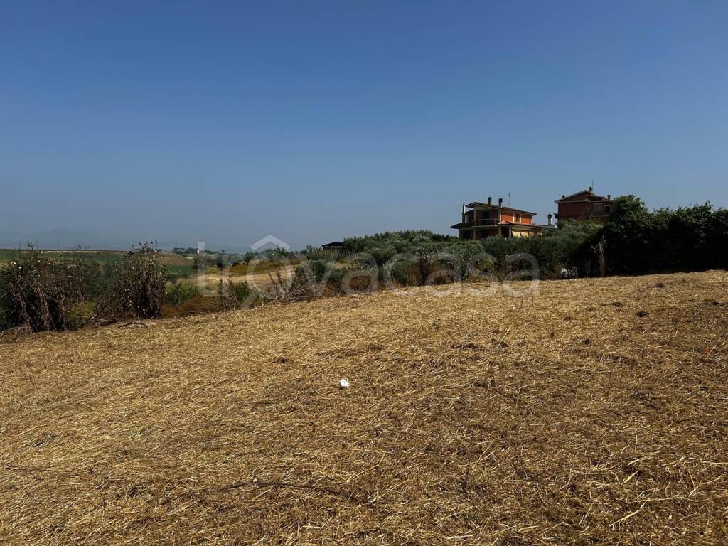 immagine annuncio 3 di 4