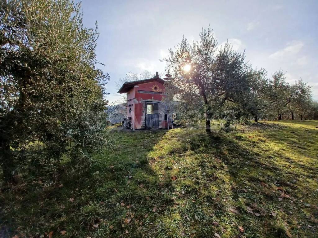 immagine annuncio 1 di 9