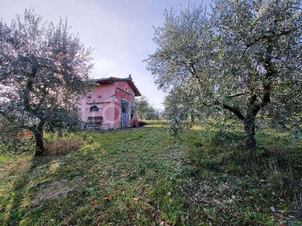 immagine annuncio 2 di 9