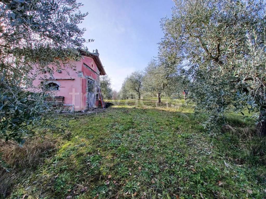 immagine annuncio 3 di 9
