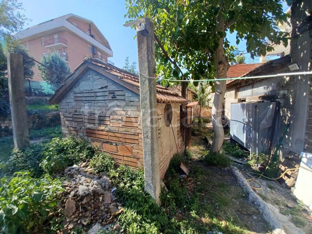 immagine annuncio 3 di 4