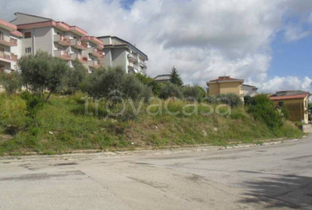 immagine annuncio 2 di 12