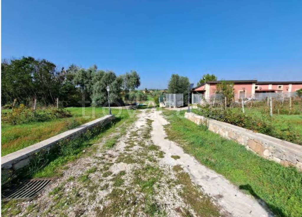 immagine annuncio 6 di 12