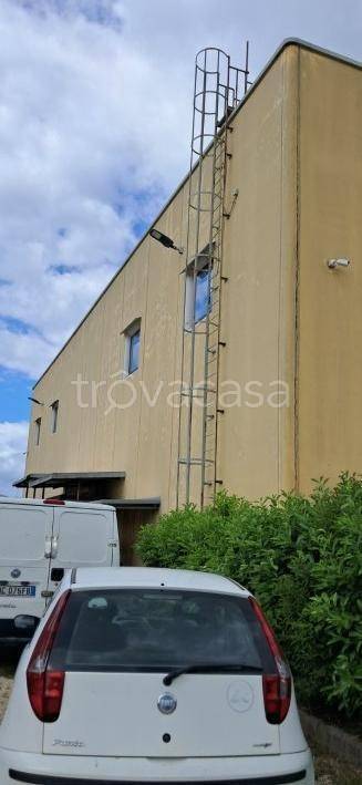 immagine annuncio 8 di 14