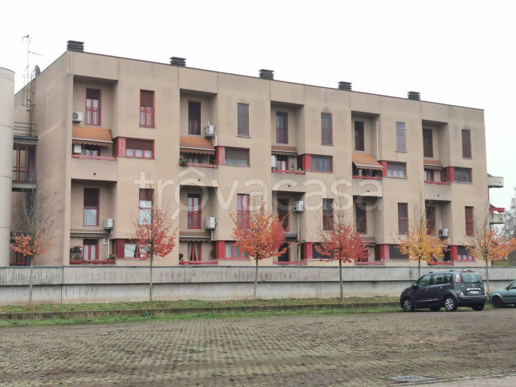 immagine annuncio 13 di 14