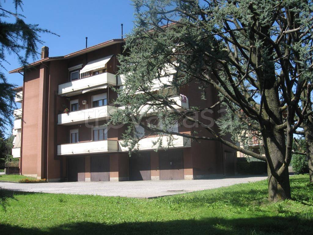 immagine annuncio 7 di 14