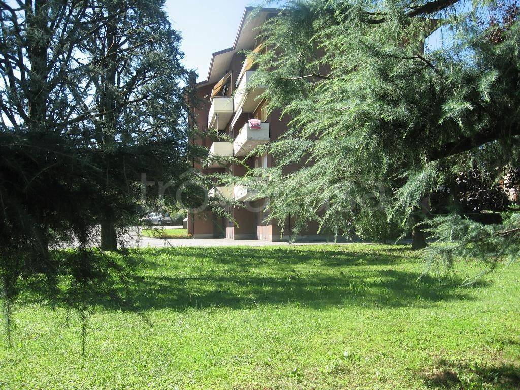 immagine annuncio 12 di 14