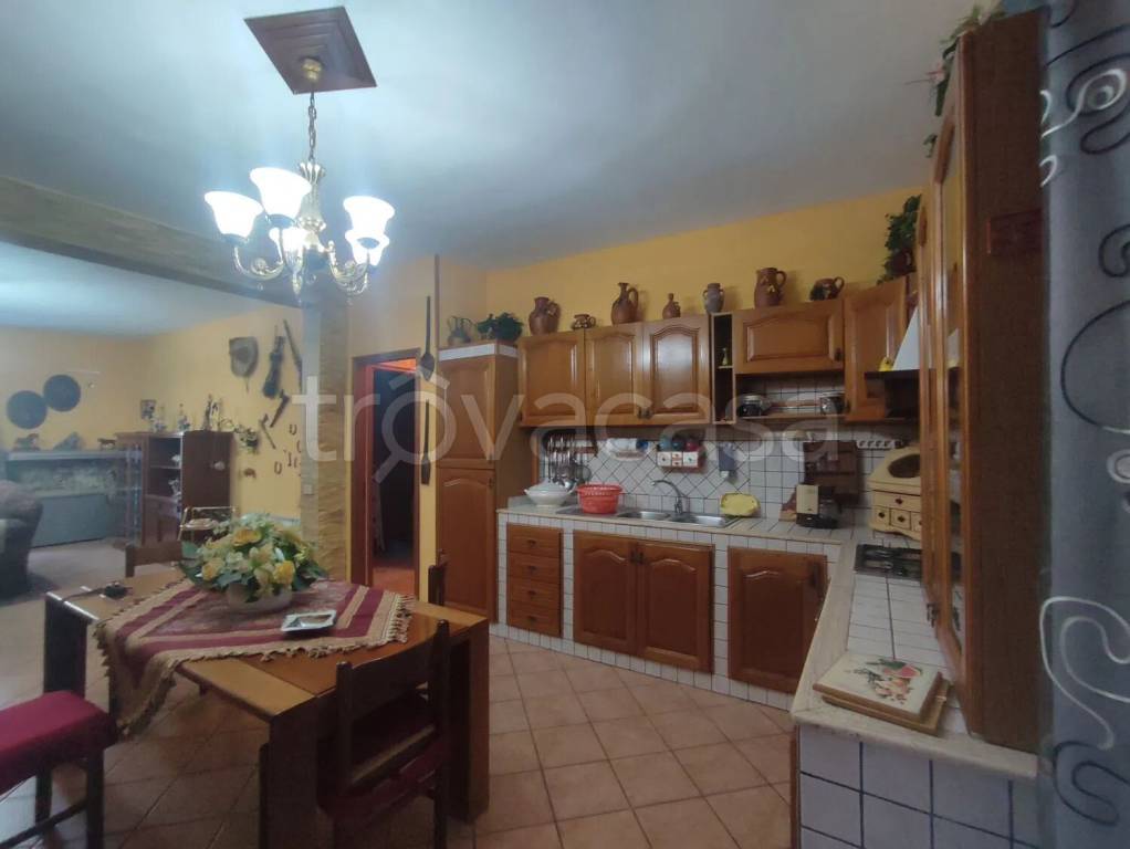 immagine annuncio 11 di 14