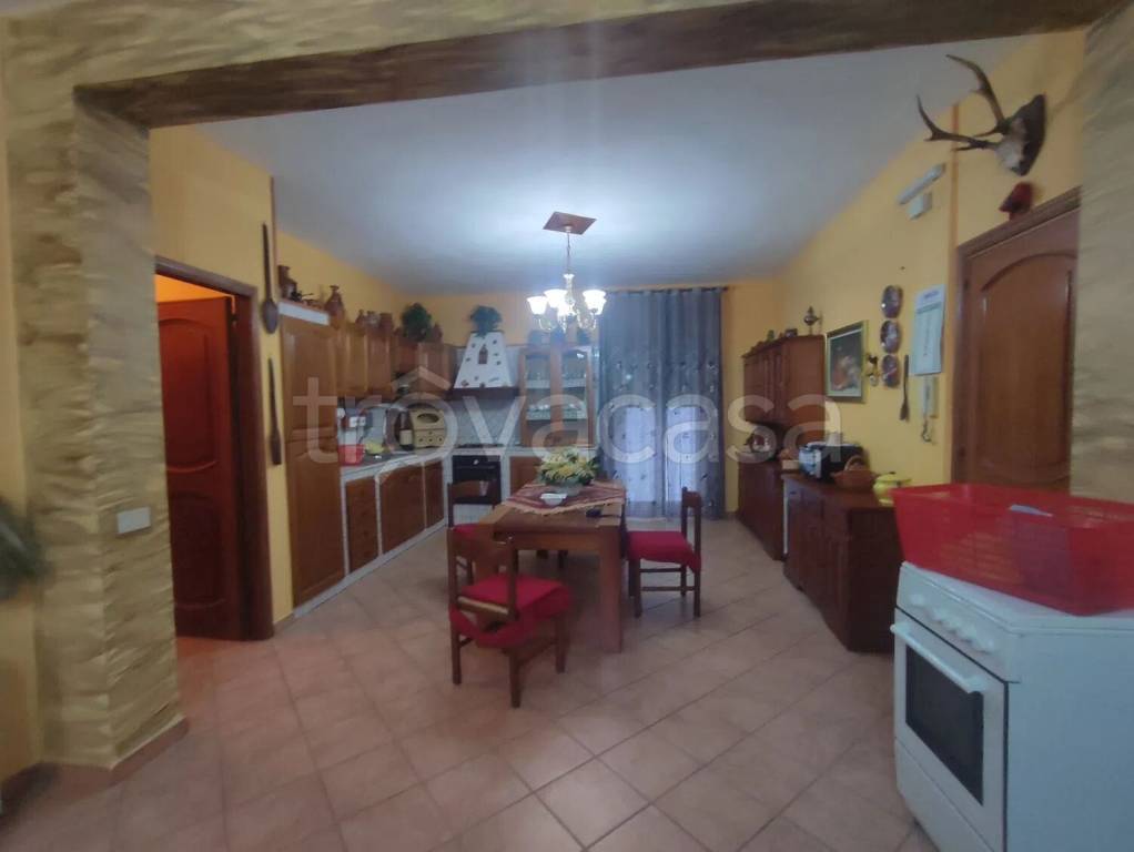 immagine annuncio 12 di 14