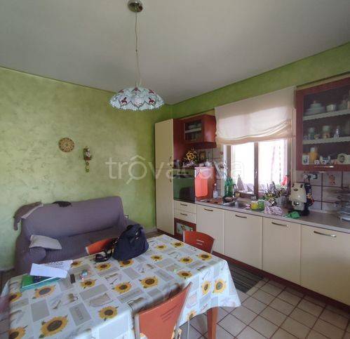immagine annuncio 1 di 6