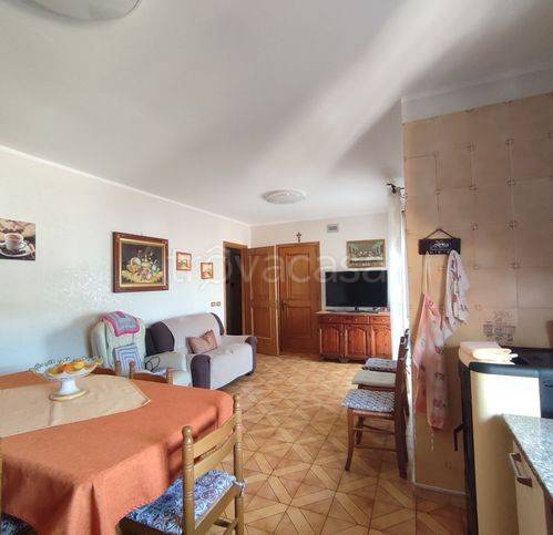 immagine annuncio 5 di 8