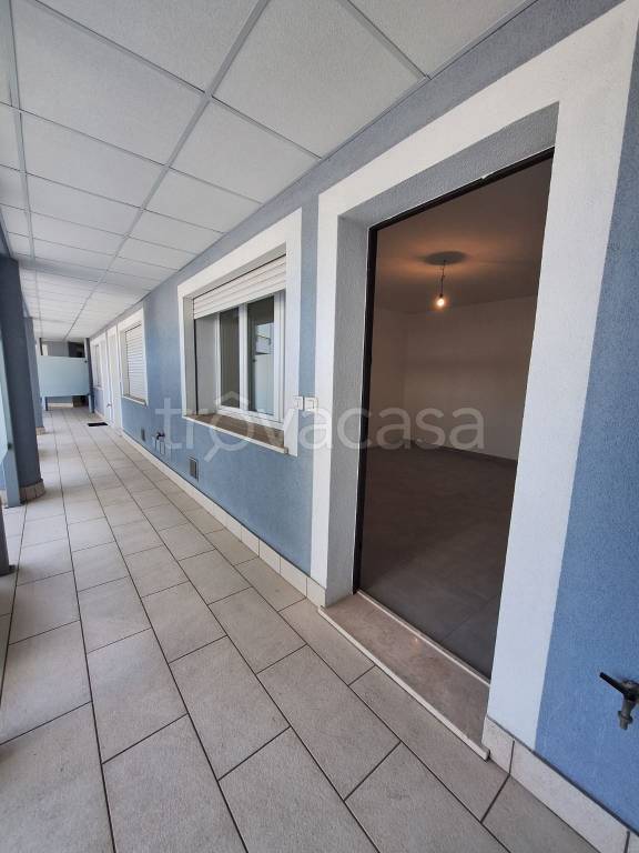 immagine annuncio 9 di 14