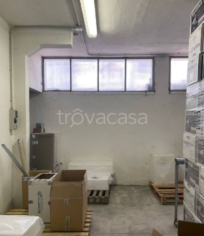 immagine annuncio 4 di 11