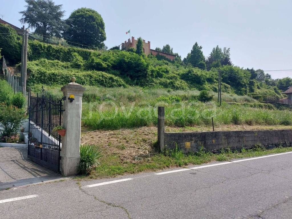 immagine annuncio 3 di 11
