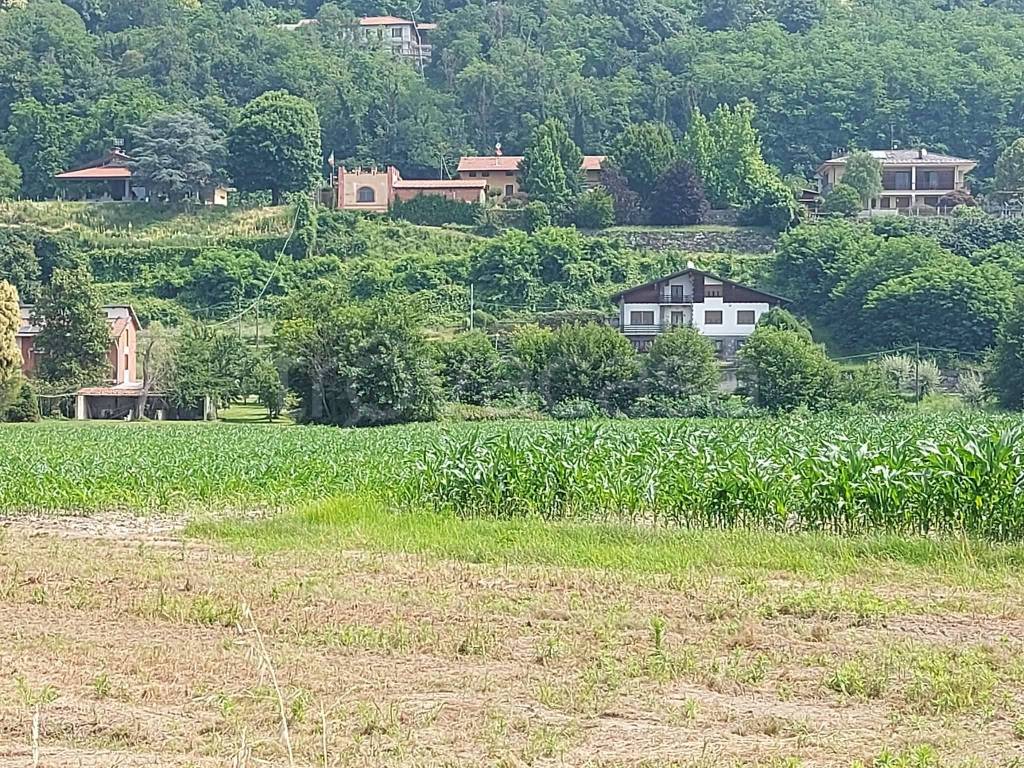 immagine annuncio 7 di 11
