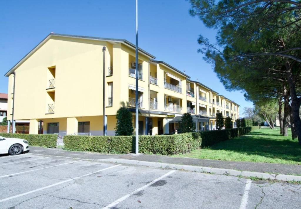 immagine annuncio 8 di 11
