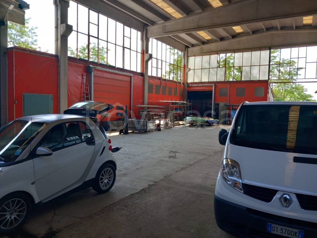 immagine annuncio 3 di 15