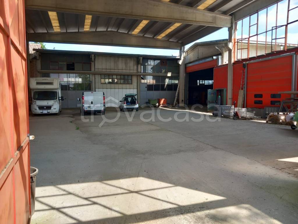 immagine annuncio 4 di 15
