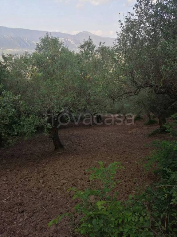 immagine annuncio 8 di 12