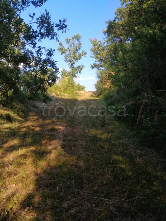 immagine annuncio 10 di 12