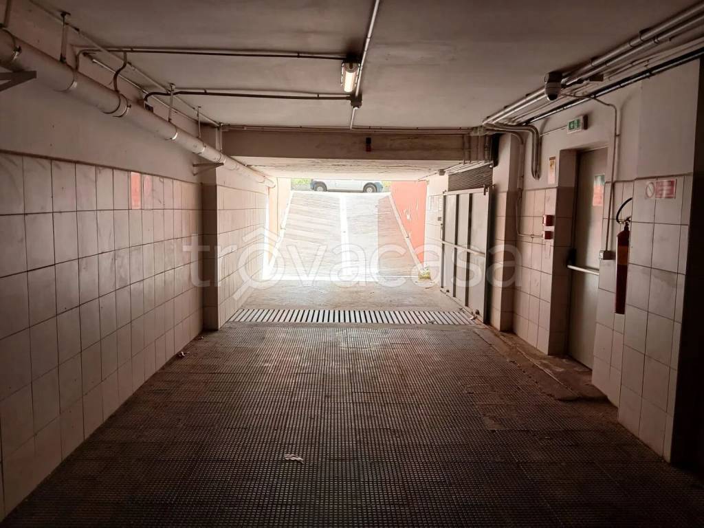 immagine annuncio 5 di 12