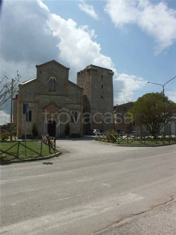immagine annuncio 2 di 12