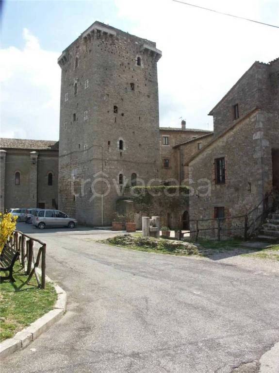 immagine annuncio 4 di 12