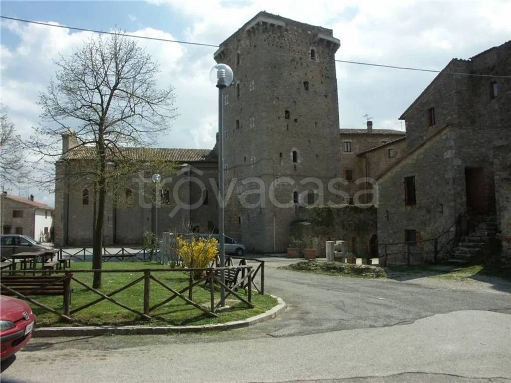 immagine annuncio 8 di 12