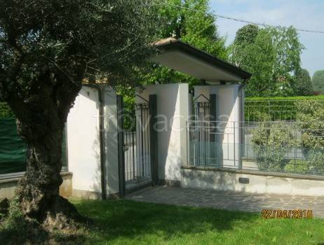immagine annuncio 3 di 14