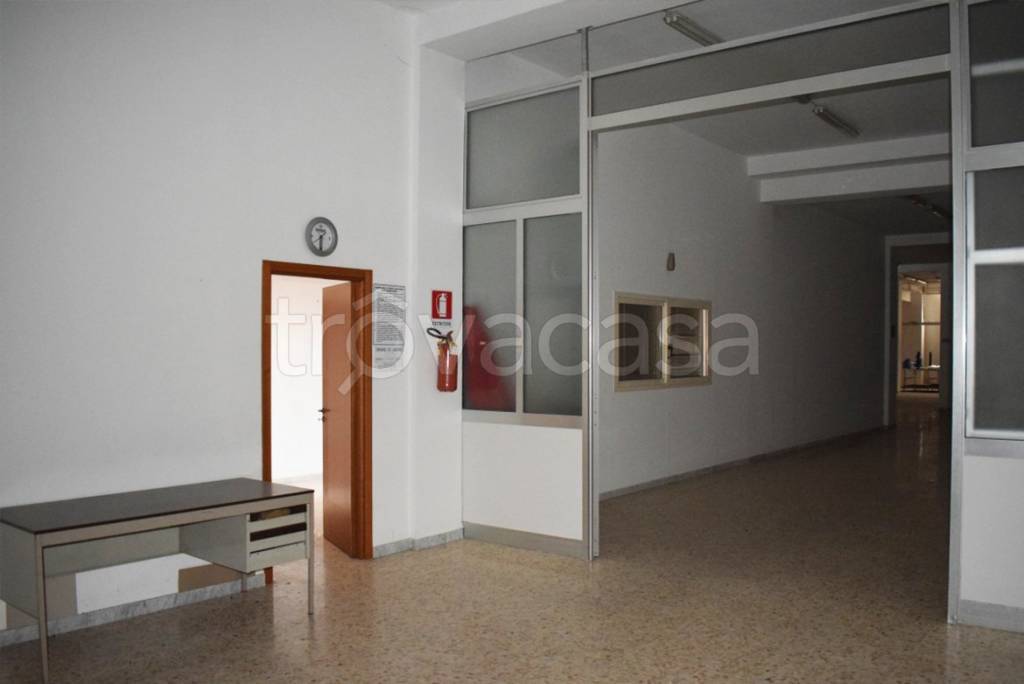 immagine annuncio 2 di 8