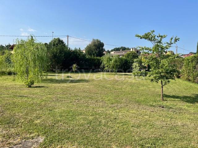 immagine annuncio 3 di 8